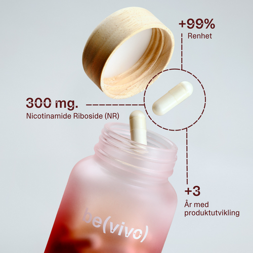 Bevivo NAD+ ingredients